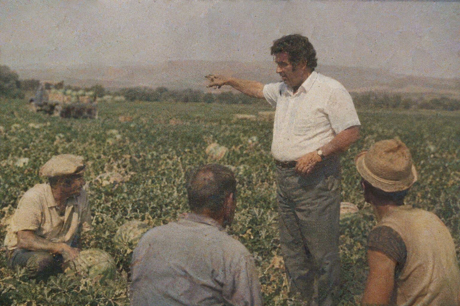 Fotografie de arhivă: inginerul agronom arată spre câmpurile de pepeni de la Dăbuleni